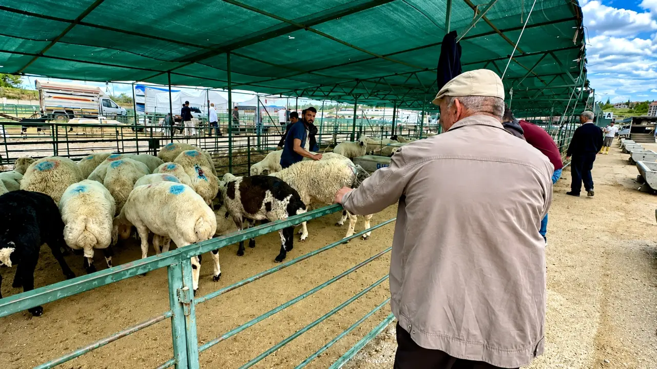Malatya Canlı Hayvan Pazarı